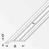 Alfer Flach-Abschlussprofil 30 x 5 mm 1m titan