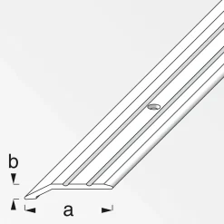 Alfer Flach-Abschlussprofil 30 x 5 mm 1m titan
