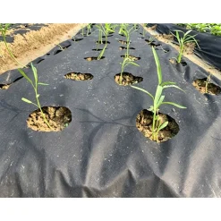 Anti Unkrautvlies 1,5x25m 50g