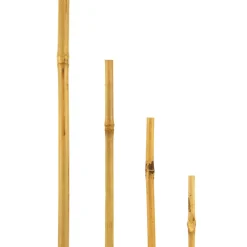 Bambusstab 60 cm