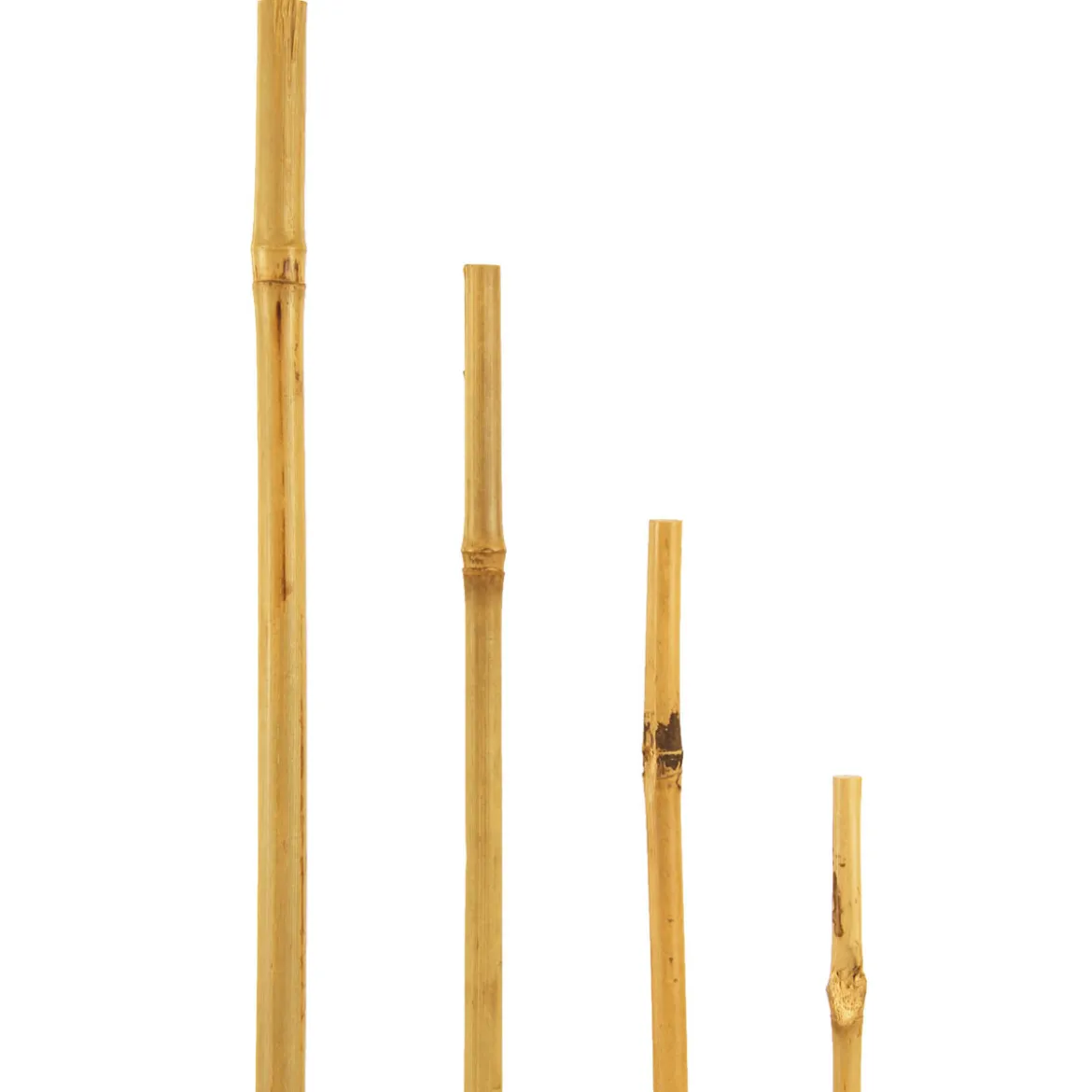 Bambusstab 60 cm