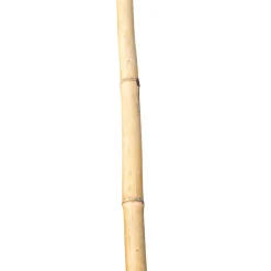 Bambusstab 60 cm