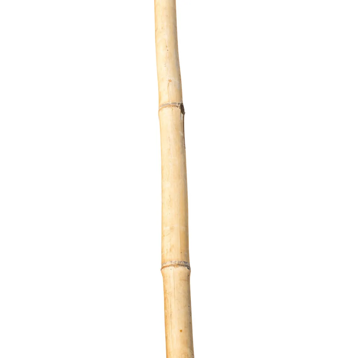 Bambusstab 60 cm