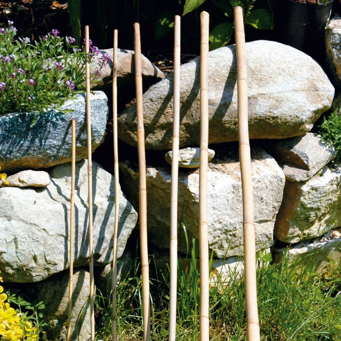 Bambusstab 90 cm