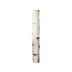 Birkensticks 20 cm Durchmesser 3-4 cm