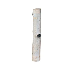 Birkensticks 20 cm Durchmesser 3-4 cm