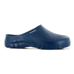 BlackfoxClog Evasion