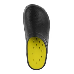 BlackfoxClog Evasion