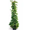 Bohnenturm 340 cm