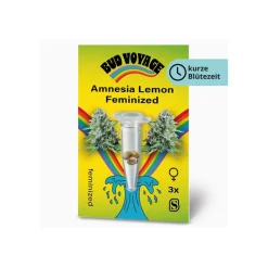 Bud Voyage Hanfsamen Amnesia Lemon Fem