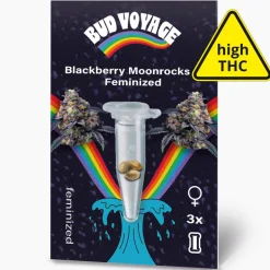 Bud Voyage Hanfsamen Blackberry Moonrocks Feminisiert