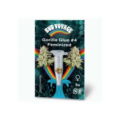 Bud Voyage Hanfsamen Gorilla Glue Fem