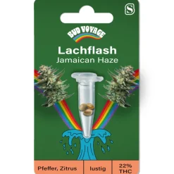 Bud Voyage Hanfsamen Lachflash - Jamaican Haze
