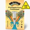 Bud Voyage Hanfsamen Pineapple Fruz Feminisiert
