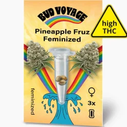 Bud Voyage Hanfsamen Pineapple Fruz Feminisiert