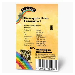 Bud Voyage Hanfsamen Pineapple Fruz Feminisiert