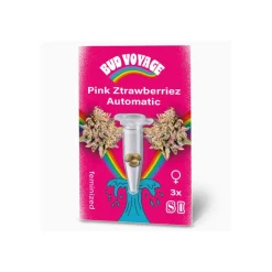 Bud Voyage Hanfsamen Pink Ztrawberriez Auto
