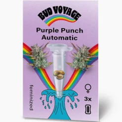 Bud Voyage Hanfsamen Purple Punch Auto