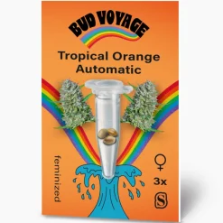 Bud Voyage Hanfsamen Tropical Orange Auto