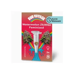 Bud Voyage Hanfsamen Watermelon Zkittlez Fem
