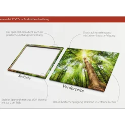 Canvas-Art Wald 60 x 80 cm