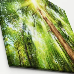 Canvas-Art Wald 60 x 80 cm