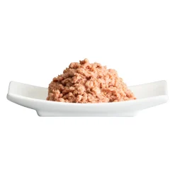 Catz finefoodSchale Fillets No 403 85g