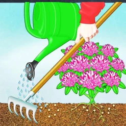 Compo BIO Rhododendron- und Hortensien Langzeit-Dünger mit Schafwolle 0,75 L