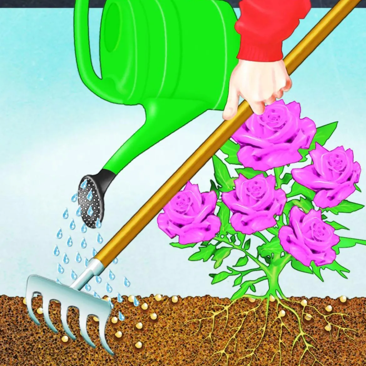 Compo BIO Rosen Langzeit-Dünger mit Schafwolle 0,75 L