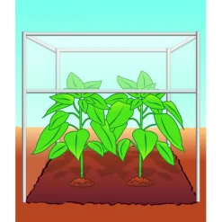 Compo BIO Tomaten- und Gemüseerde torffrei 40 L