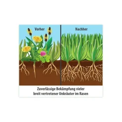 Compo FLORANID Rasendünger plus Unkrautvernichter für 400 m² 12 L