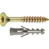 Connex Universalschraube mit Dübel Torx 510 Stück