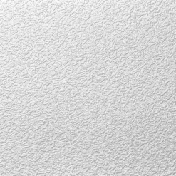 Deckenplatte AP 103 50x50 cm