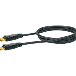 DisplayPort Anschlusskabel 2m schwarzSt/St