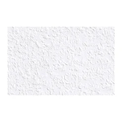 Erfurt Rauhfaser Classico 2000 x 53 cm