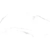 Feinsteinzeug Bianca river poliert 60 x 120 x 0,7 cm