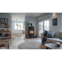Fireplace Kaminofen Royal Stahl