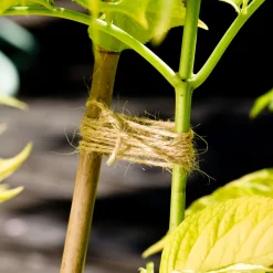 Flachs Gartenschnur