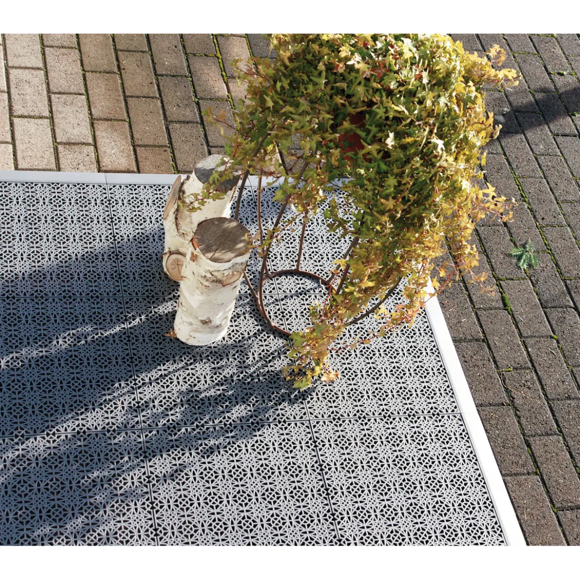 Fliese Terra Sol dunkelgrau 38x38cm 7St.
