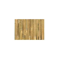 floraworld Sichtschutz Classic Bambushalbsch 3,0x1,8 m