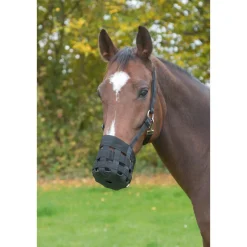 Fressbremse schwarz Cob