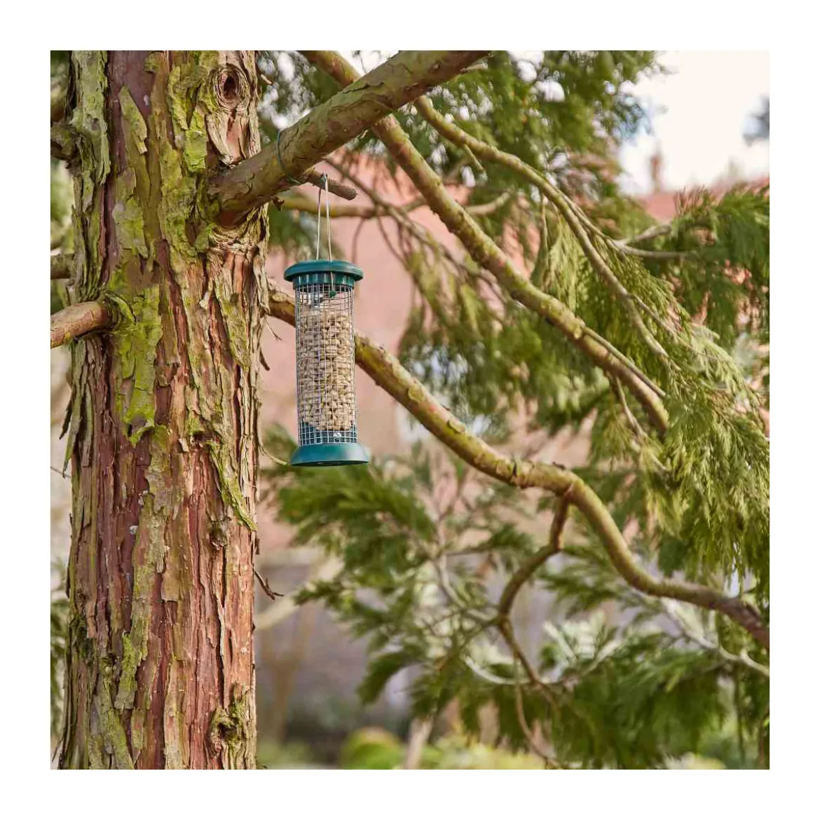 Futterspender Feeder Premium Line fuerNuesse Dm.9x24cm aus Kunststoff in