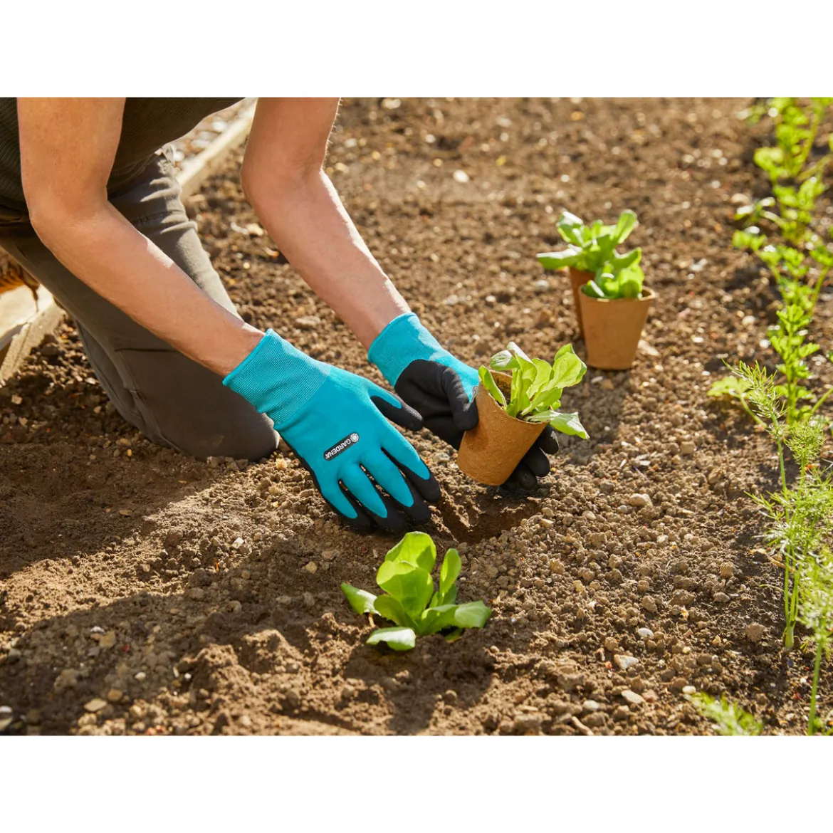 GardenaGarten- und Pflegehandschuh türkis