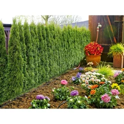 GardenaMicro-Drip-System Starter-Set Pflanzreihe Größe S