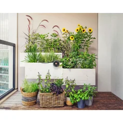 GardenaSolar-Bewässerungs-Set AquaBloom