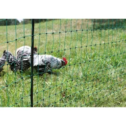 Geflügelnetz PoultryNet Doppelspitze 2500 x 106 cm dunkelgrün