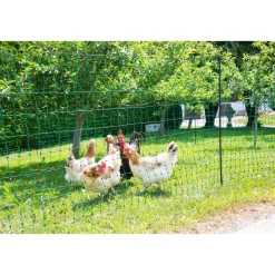 Geflügelnetz PoultryNet Doppelspitze 2500 x 106 cm dunkelgrün