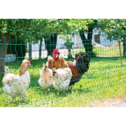Geflügelnetz PoultryNet Doppelspitze 2500 x 106 cm dunkelgrün