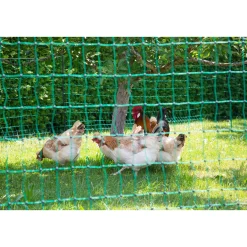Geflügelnetz PoultryNet Doppelspitze 2500 x 106 cm dunkelgrün