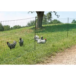 Geflügelnetz PoultryNet Doppelspitze 2500 x 106 cm dunkelgrün